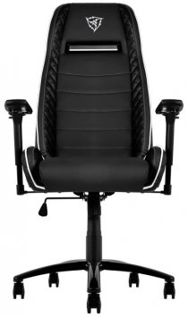 Купить Игровое кресло ThunderX3 TGC40 Black/White (TX3-40BW)
