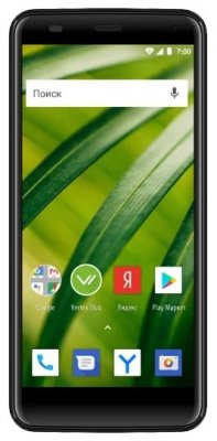 Купить Мобильный телефон Vertex Impress Forest 4G Graphite