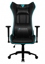 Купить Компьютерное кресло ThunderX3 UC5 (TX3UC5)