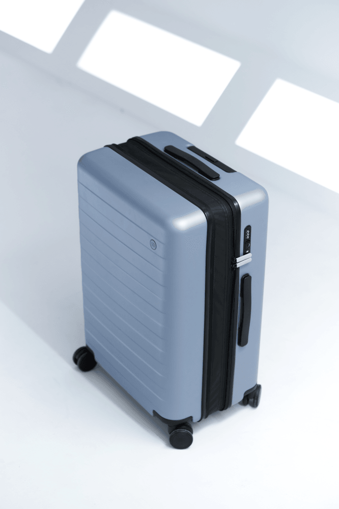 Купить Чемодан NINETYGO Rhine PRO Luggage 20" серый