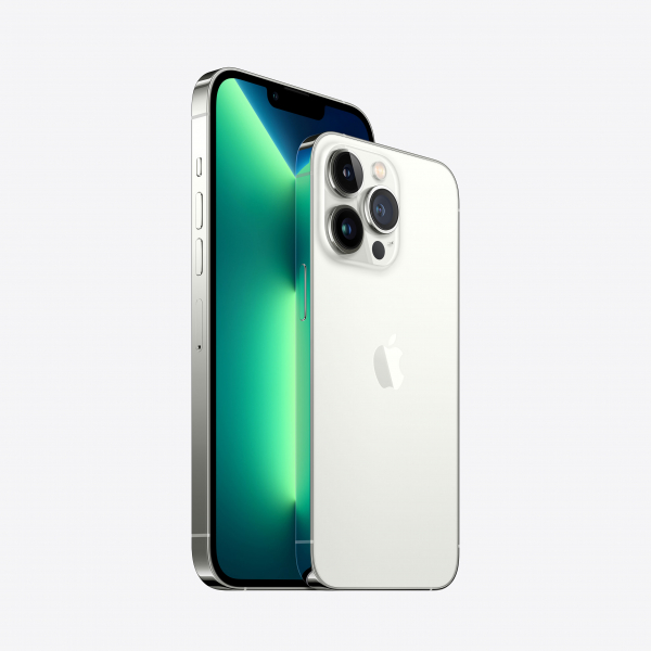Купить Apple iPhone 13 Pro-Pro Max серебристый