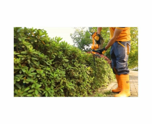 Купить CHTLI20018__3__1.png