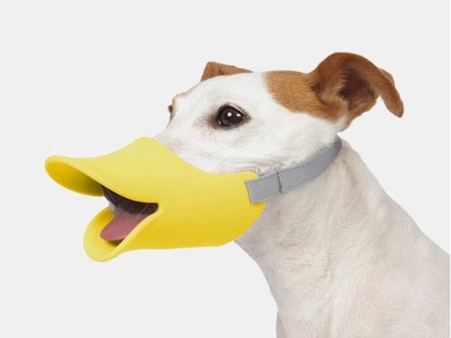 Купить Силиконовый намордник для собак Petsy (желтый) L