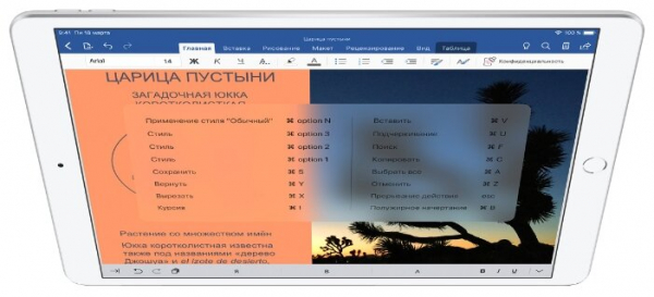 Купить Apple iPad Air Wi-Fi + Cellular 256Gb (серебристый) MV0P2RU/A