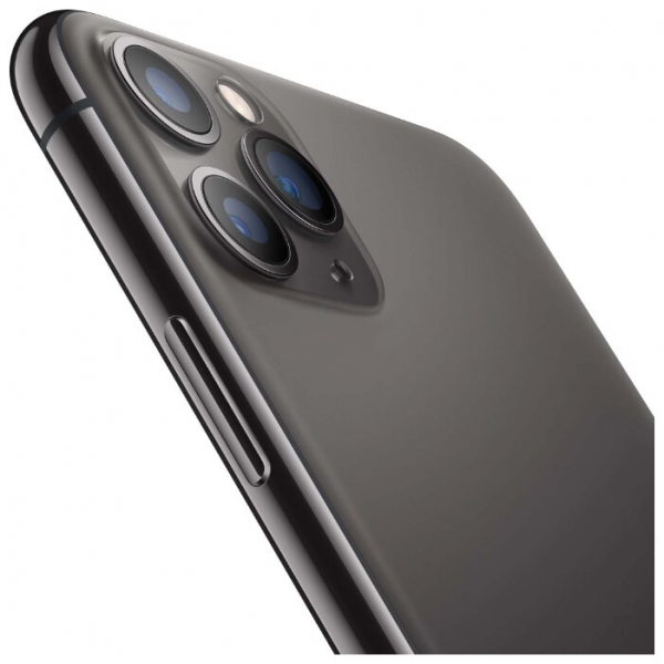 Купить Apple iPhone 11 Pro Max 256GB Space Gray (MWHJ2RU/A)