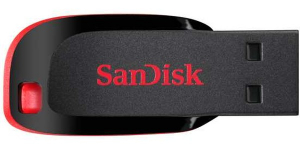 Купить Память USB Sandisk SDCZ50-128G-B35 USB2.0 128Gb Black