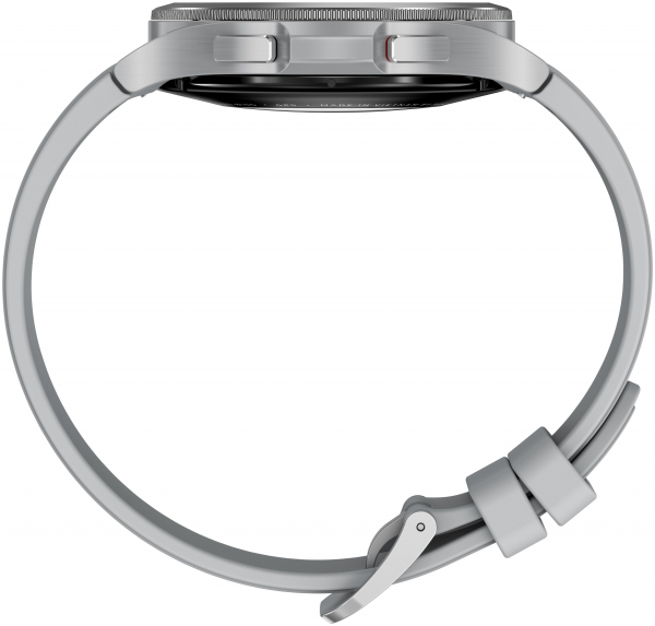 Купить Смарт-часы Samsung Galaxy Watch4 Classic 46mm серебро (SM-R890N)