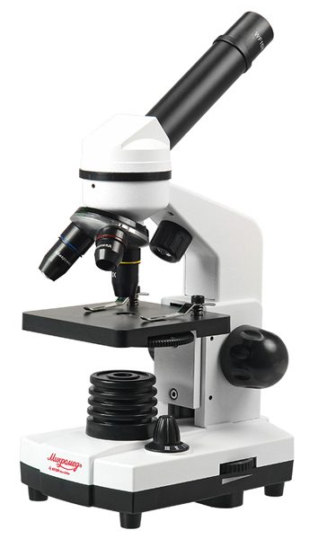 Купить Микроскоп Микромед «Атом» 40x-800x, в кейсе