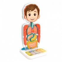 Купить Занимательная Анатомия (SA218), интерактивная игрушка