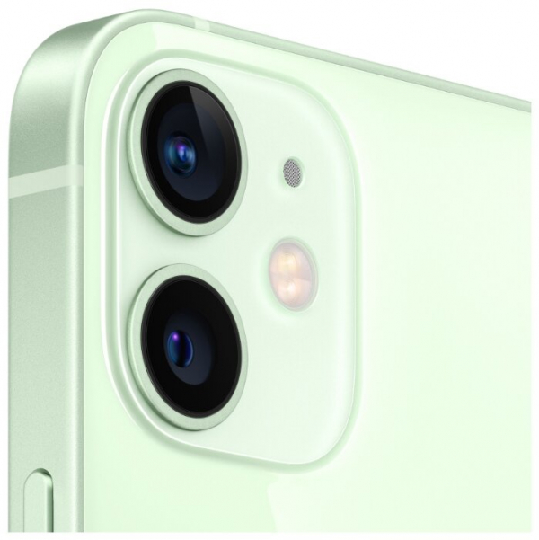Купить Смартфон Apple iPhone 12 64GB green