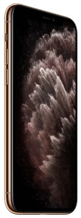 Купить Смартфон Apple iPhone 11 Pro 256GB Gold (MWC92RU/A)
