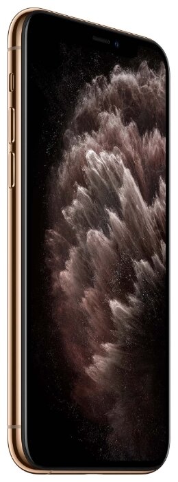 Купить Смартфон Apple iPhone 11 Pro Max 256GB Gold (MWHL2RU/A)