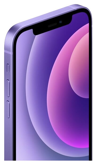 Купить Смартфон Apple iPhone 12 64GB Purple