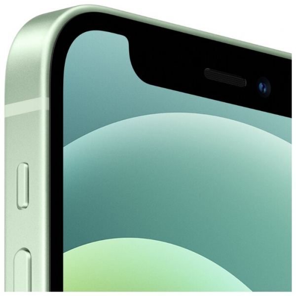 Купить Смартфон Apple iPhone 12 64GB green
