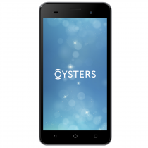Купить Мобильный телефон Oysters Pacific E Grey