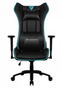 Купить Компьютерное кресло ThunderX3 UC5 (TX3UC5)