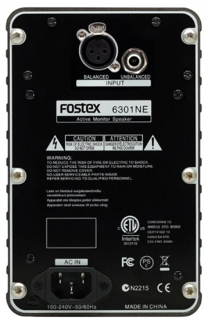 Купить FOSTEX 6301NE