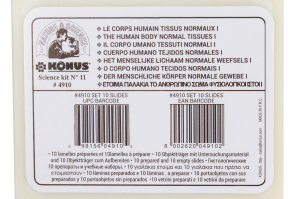 Купить Набор микропрепаратов Konus 10: «Человеческое тело. Норма»