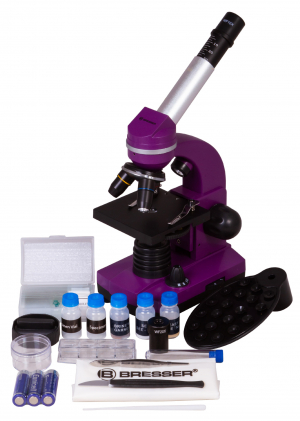 Купить Микроскоп Bresser Junior Biolux SEL 40–1600x, фиолетовый