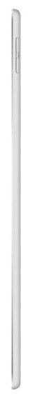 Купить Apple iPad Air Wi-Fi + Cellular 256Gb (серебристый) MV0P2RU/A
