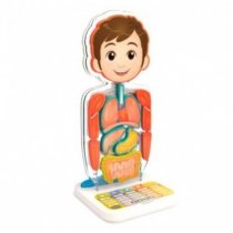 Купить Занимательная Анатомия (SA218), интерактивная игрушка