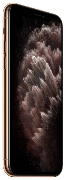 Купить Смартфон Apple iPhone 11 Pro Max 512GB Gold (MWHQ2RU/A)
