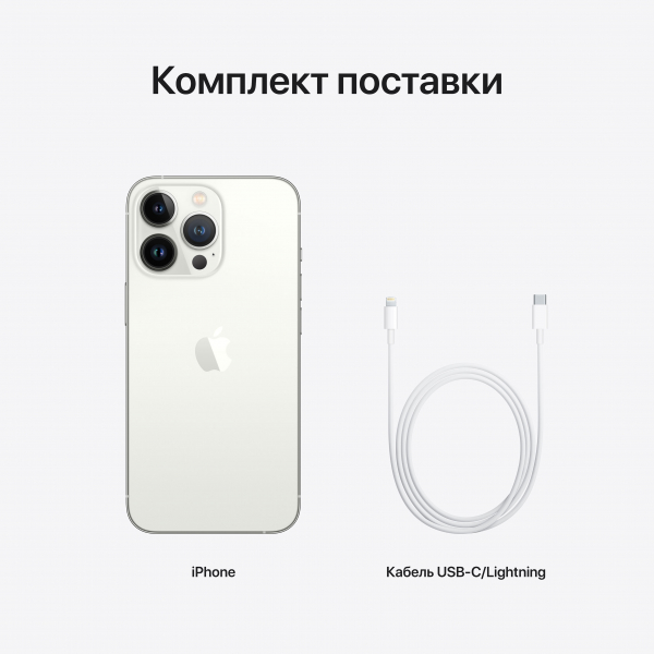 Купить Apple iPhone 13 Pro-Pro Max серебристый