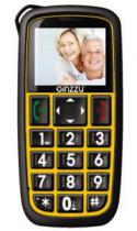 Купить Мобильный телефон Ginzzu R31 Dual Yellow