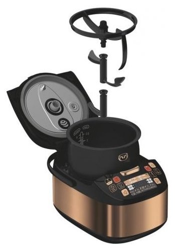 Купить Мультиварка Tefal RK901F32 бронзовый