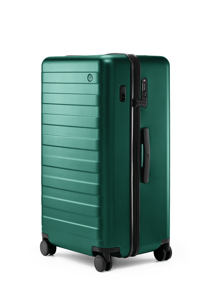 Купить Чемодан NINETYGO Rhine PRO plus Luggage 29'' зеленый