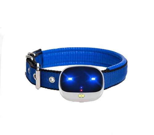 Купить Ошейник трекер с GPS для собак и кошек Petsy EV10 (защита от влаги, подсветка)