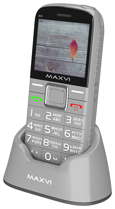 Купить Мобильный телефон Maxvi B5 Grey