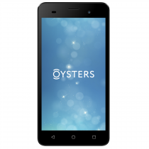 Купить Мобильный телефон Oysters Pacific E Silver