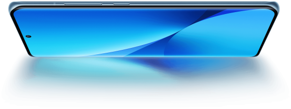 Купить Смартфон Xiaomi 12X 8/256 ГБ RU Blue