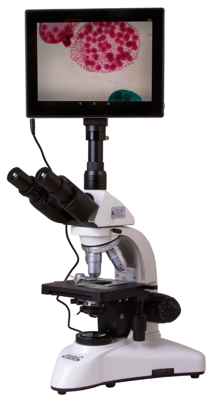 Купить Микроскоп цифровой Levenhuk MED D25T LCD, тринокулярный
