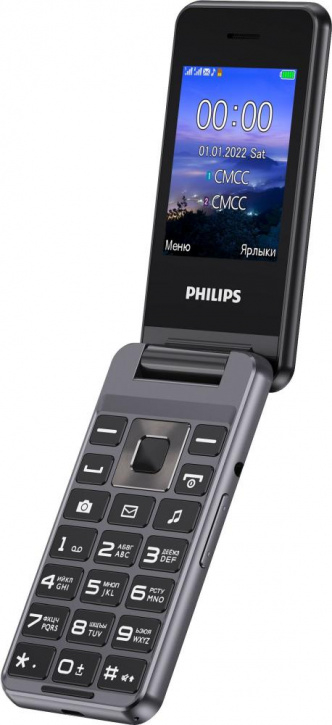Купить Мобильный телефон Телефон  Philips Xenium E2601, темно-серый